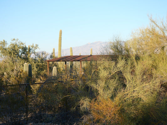 Travel Notes: Sedona & Tucson