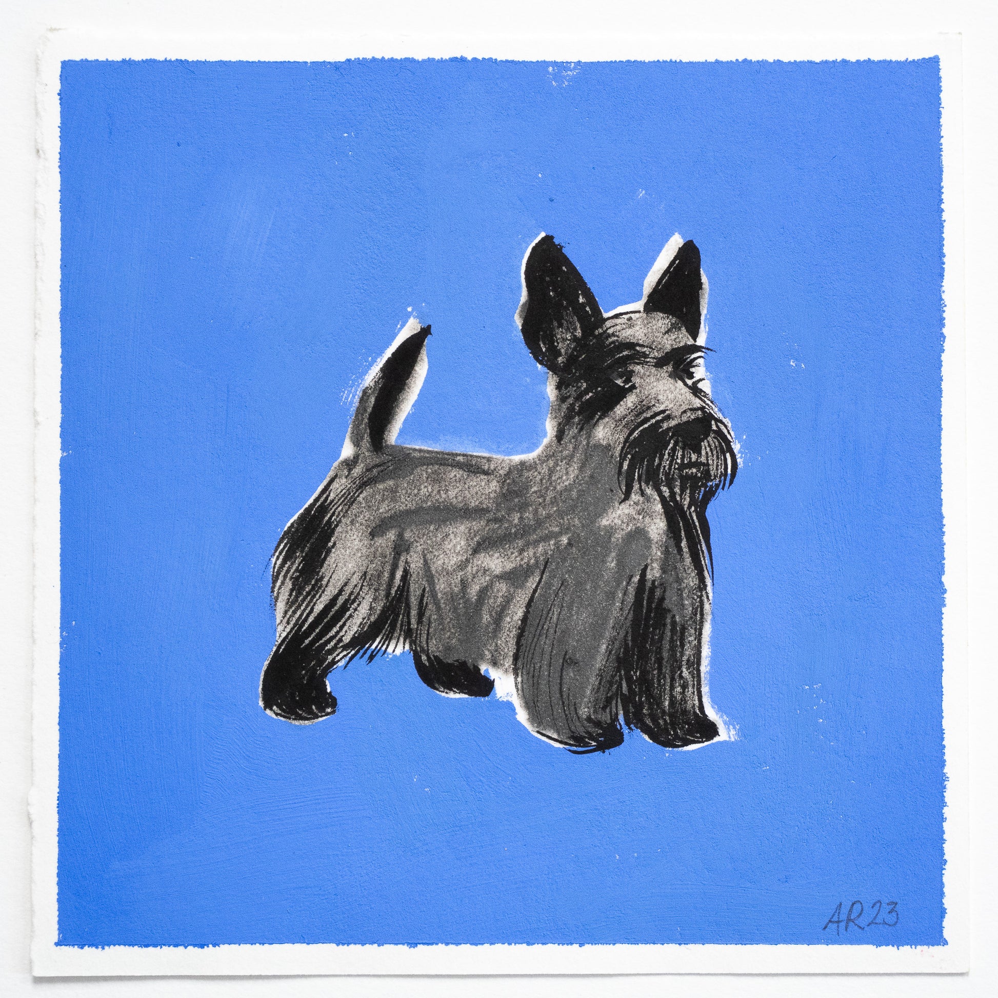 Playful monotype with gouache of Scottish terrier against bold cobalt blue background. 